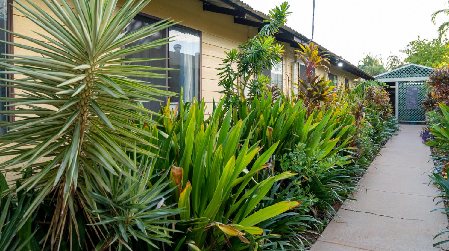 Garden at Broome Hostel