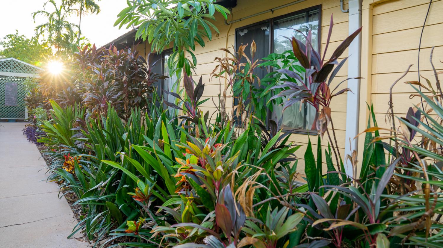 Broome Hostel garden