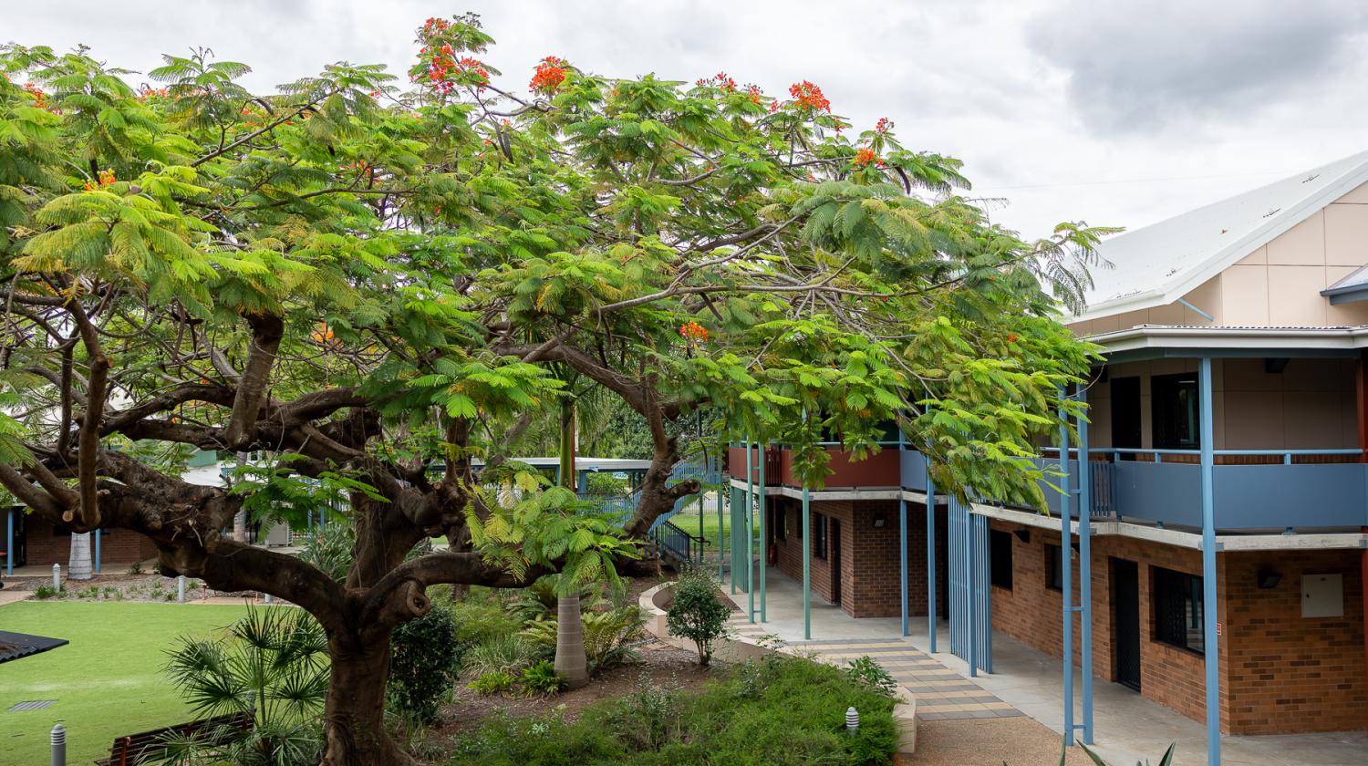 Neville Bonner Hostel